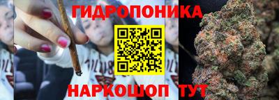 дмт Владимир