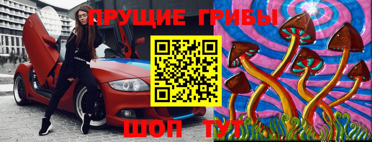 Галлюциногенные грибы прущие грибы Ростов-на-Дону