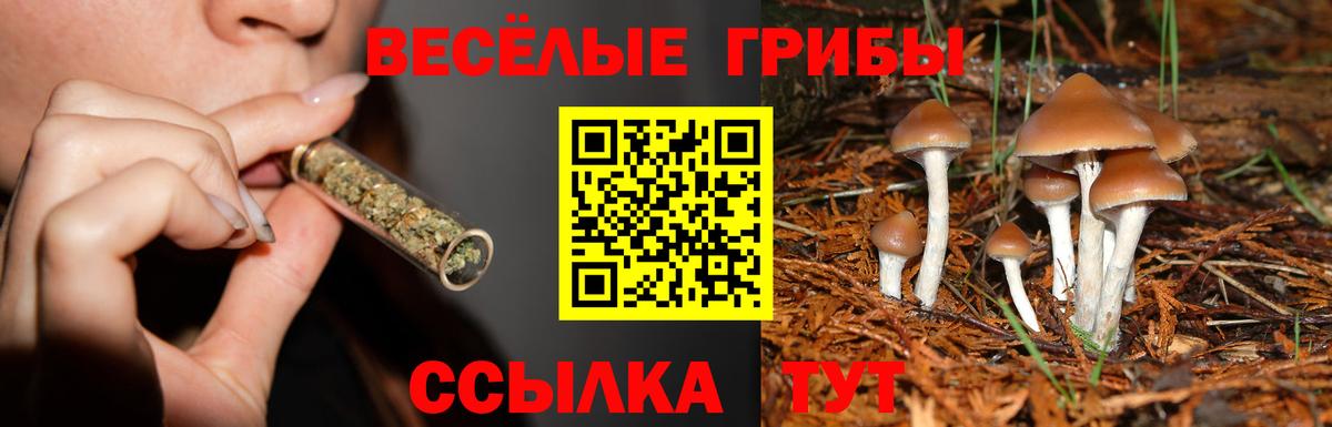 Галлюциногенные грибы Magic Shrooms  купить наркоту  Ростов-на-Дону  Вход с VPN 